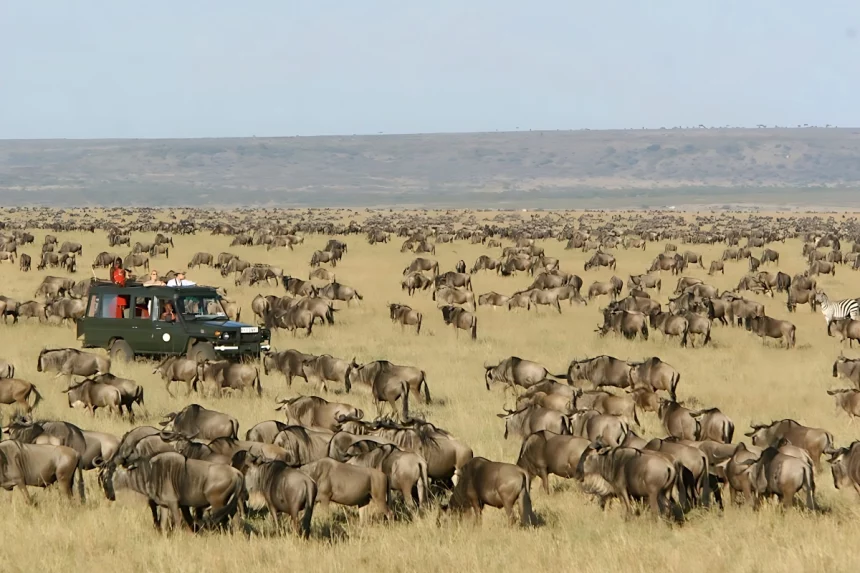 Serengeti Migration: 6-Day the Mara River Crossing at Glance
