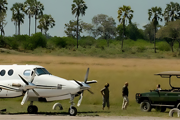 Elegant Dream Tanzania Fly-in Safari | Customers landing at Serengeti Lobo airstrip