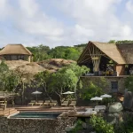 Mwiba Lodge: Exploring Wildlife Hospitality