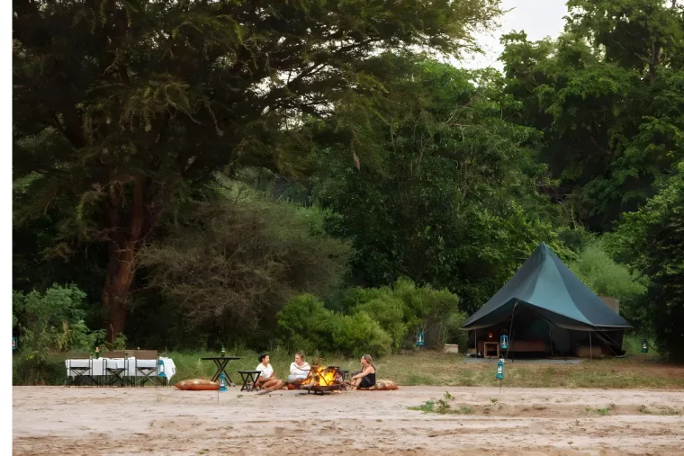 4 Day Lake Manyara Safari Tours Stay at Manyara Green Camp