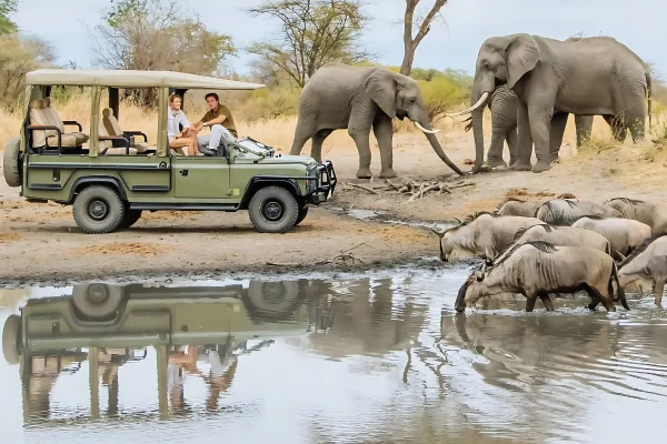 6-Day Lake Manyara & Ngorongoro Safari | Game drive in Lake Manyara National Park