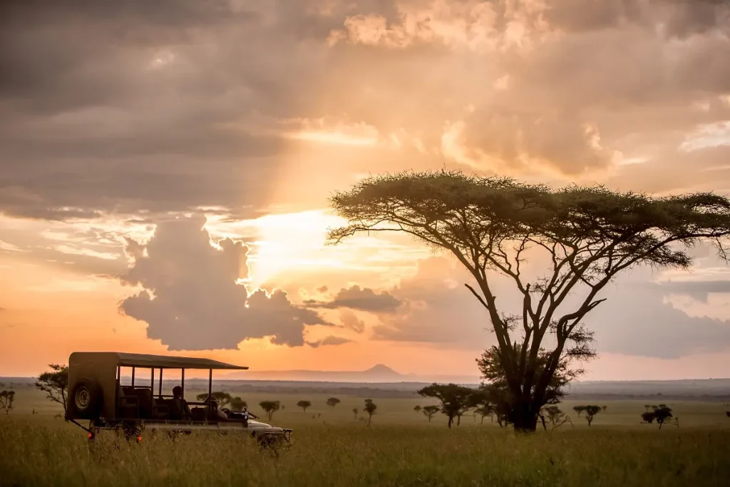 Solo Safari in Tanzania: Memorable Safari Adventure