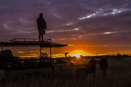 Night Game Drive| Serengeti National Park