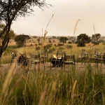 Dine like royalty: Experience the ultimate Tanzania bush dining safari