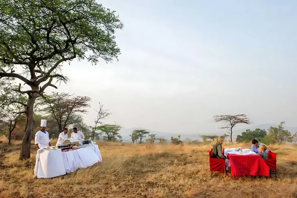 Serengeti bush dining experience