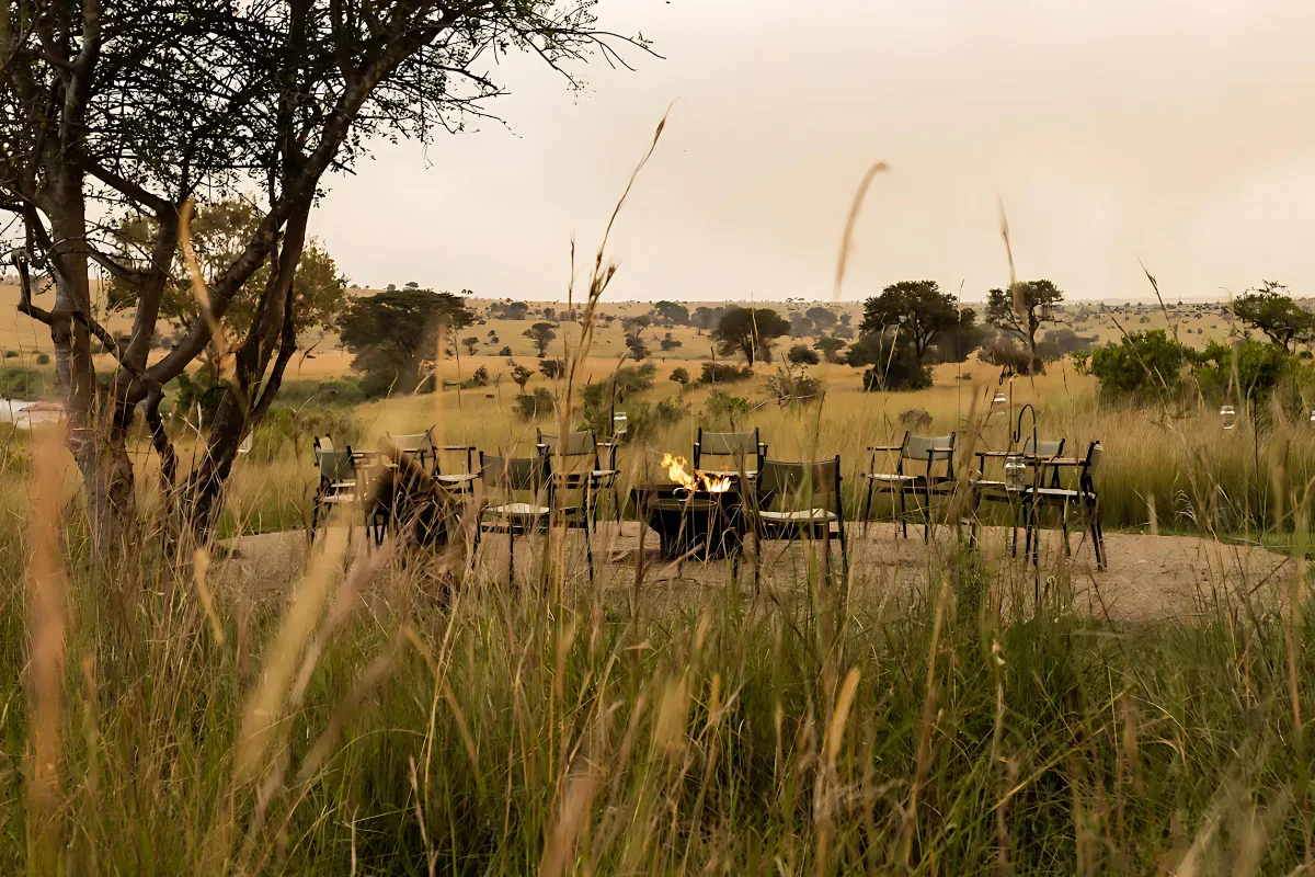 Dine like royalty: Experience the ultimate Tanzania bush dining safari