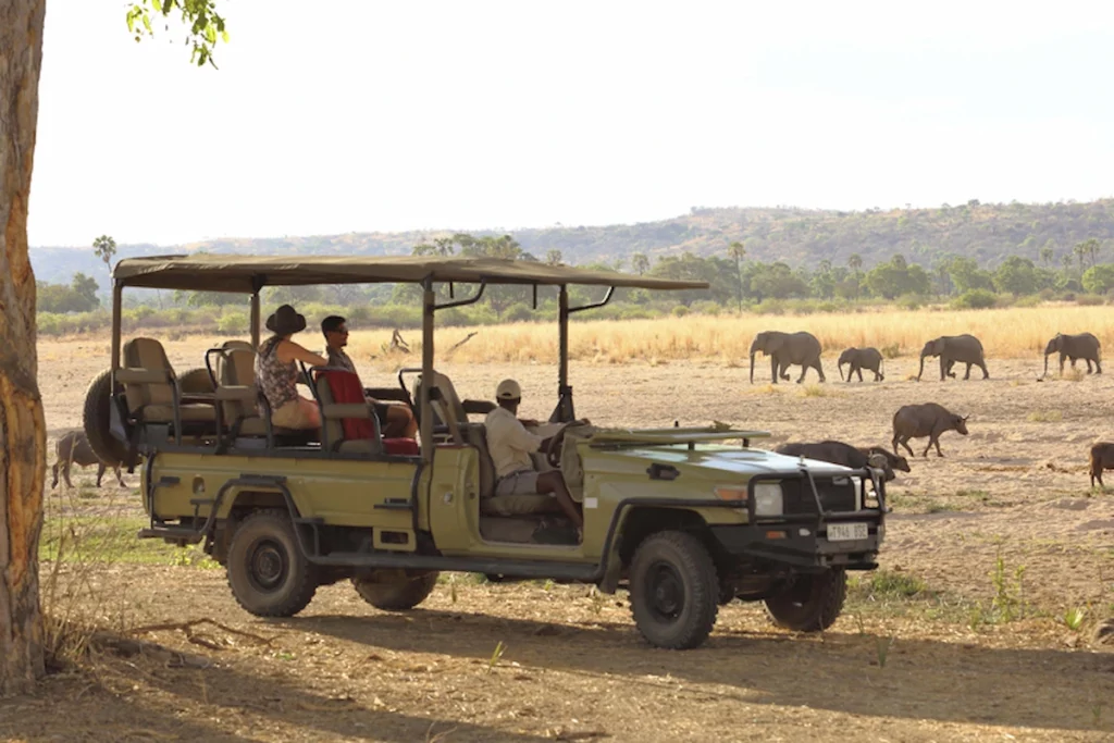 Game drive at Ruaha National Park | East Africa Safari Guides