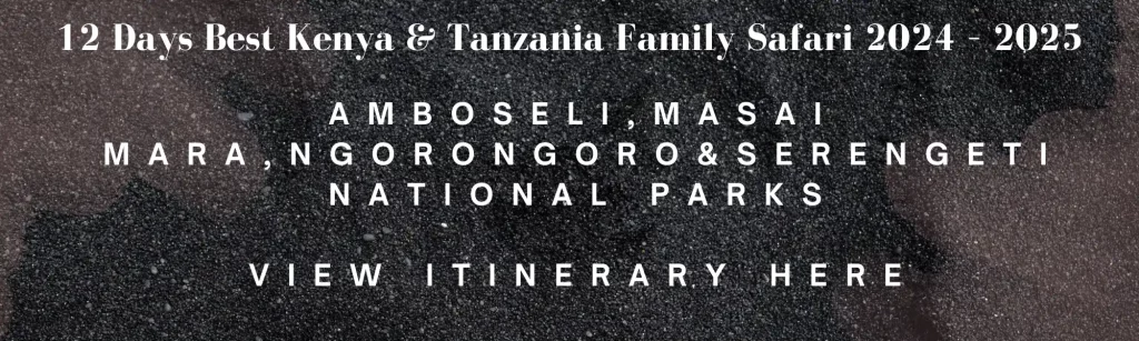 12 Days Best Kenya & Tanzania Family Safari 2024 – 2025 | Tanzania family adventure in Kenya and Tanzania 2024/2025 - 2026