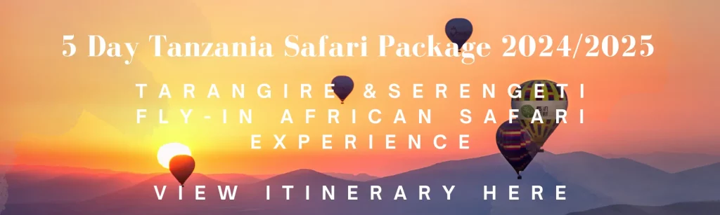 5 Day Tanzania Safari Package 20242025 | short luxury safari tour in Tanzania for family and couples 2024/2025- 2026