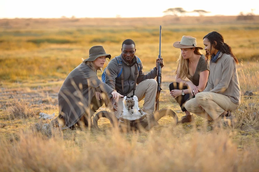 Guide with clients at guided-nature walk in Ruaha National Park exploring the animal skull.