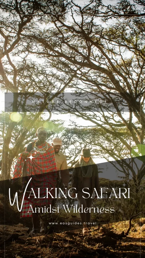 Walking safari in Ngorongoro Crater with Maasari | Luxury Tanzania Safari with Maasai Warrior 2024-2025