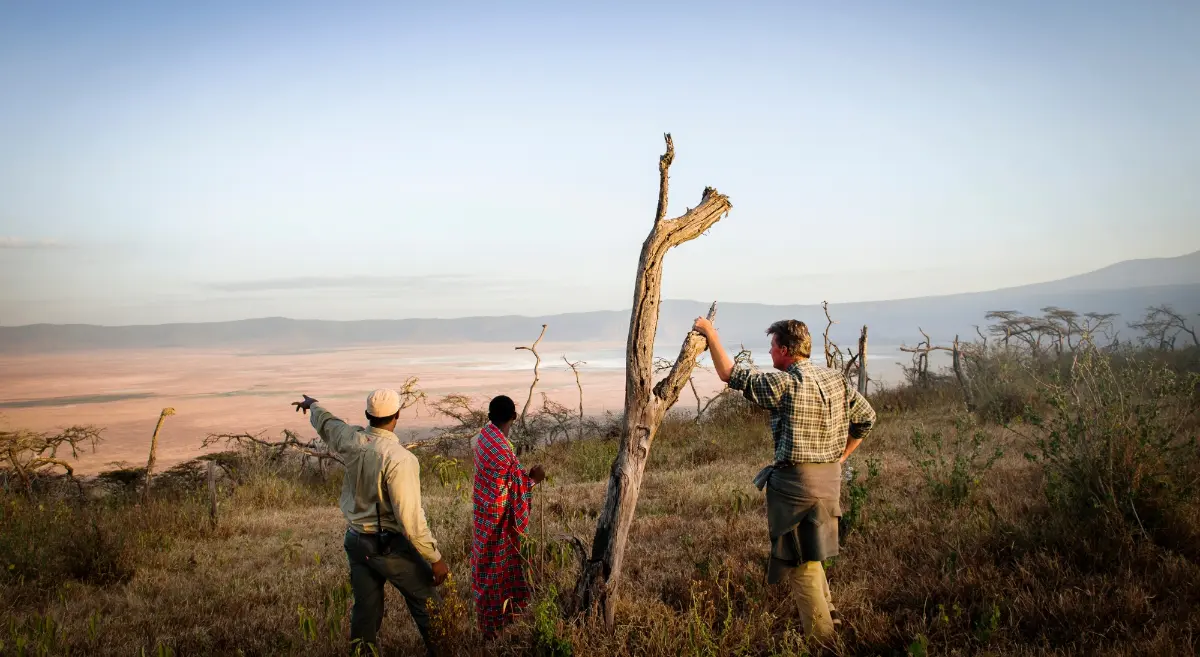 tanzania retreat safari package 2024 & 2025