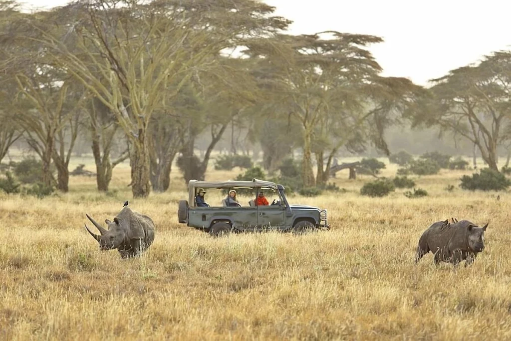 Clients enjoying game viewing in an open sided vehicle: Closed vs Opened Safari Vehicle 