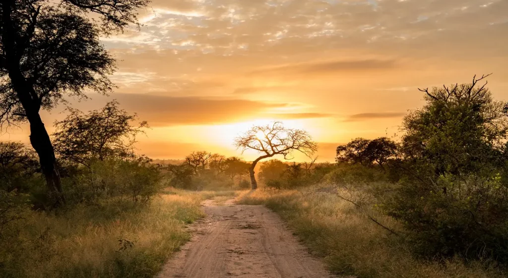 Sunrise in Serengeti National Park 