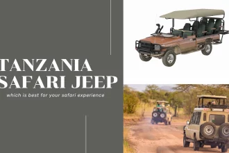 Closed vs Opened Safari Vehicle Experience in Tanzania: Which is Best?