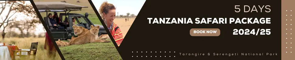 5 days Tanzania luxury safari 2024 and 2025