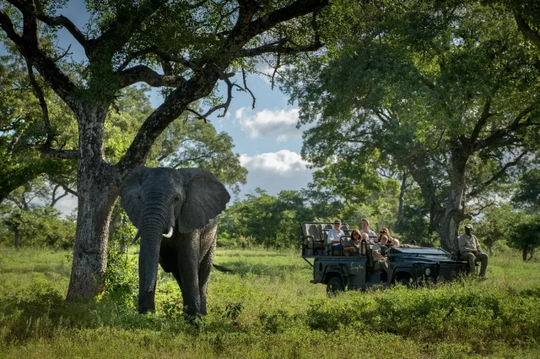 Best African Tour 2025/2026