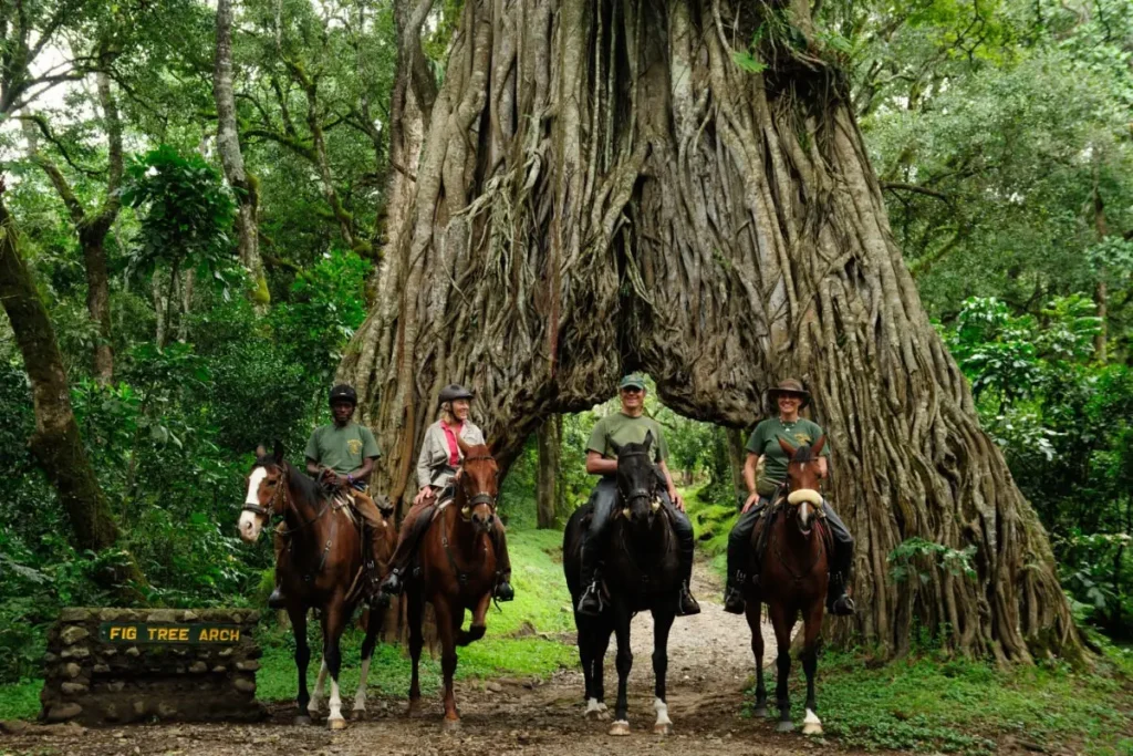 Horseback ride in Arusha National Park