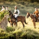 Horse riding in Serengeti National Park