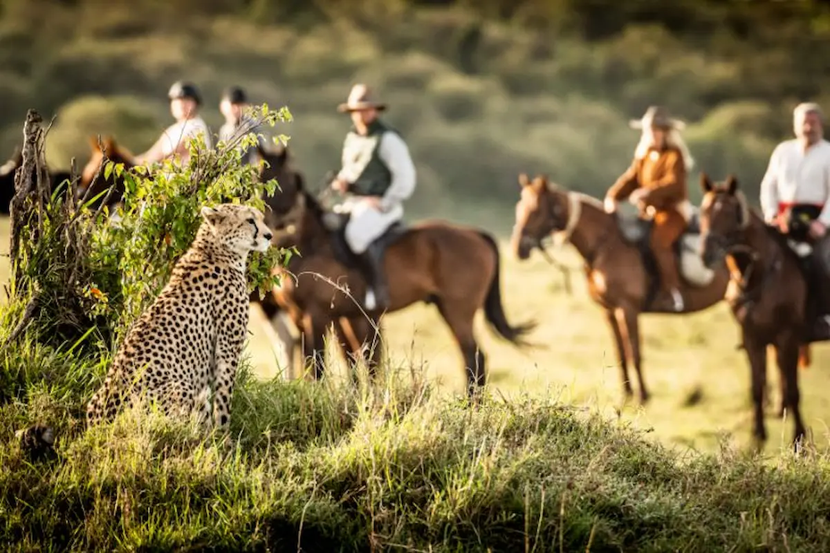 Horse riding in Serengeti National Park