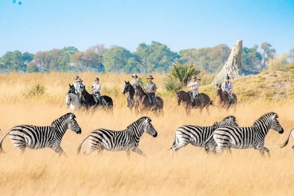 Horseback ride in the widerness