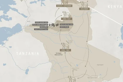 Serengeti Migration Safari stay at Singita 2025