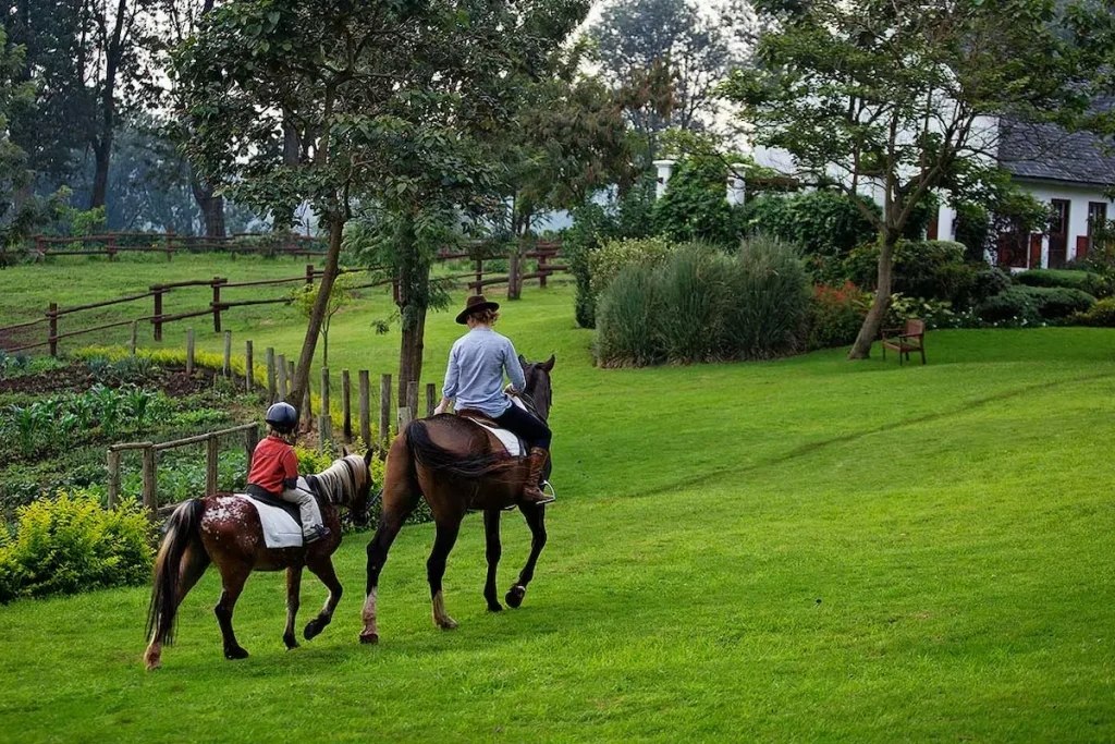 Horse riding at the Manor House Ngorongoro