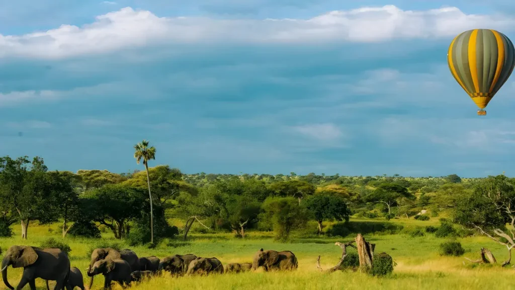 Serengeti Balloon Safari in 2025 with East Africa Safari Guides