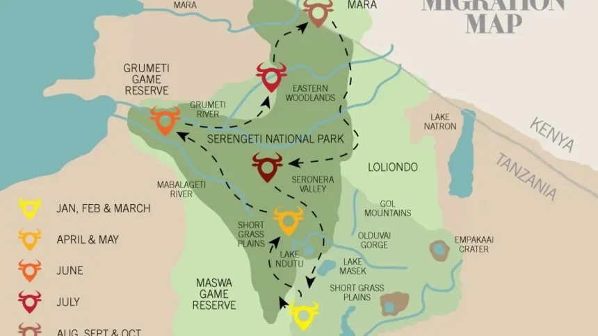 Why Is Serengeti Safari Migration Famous