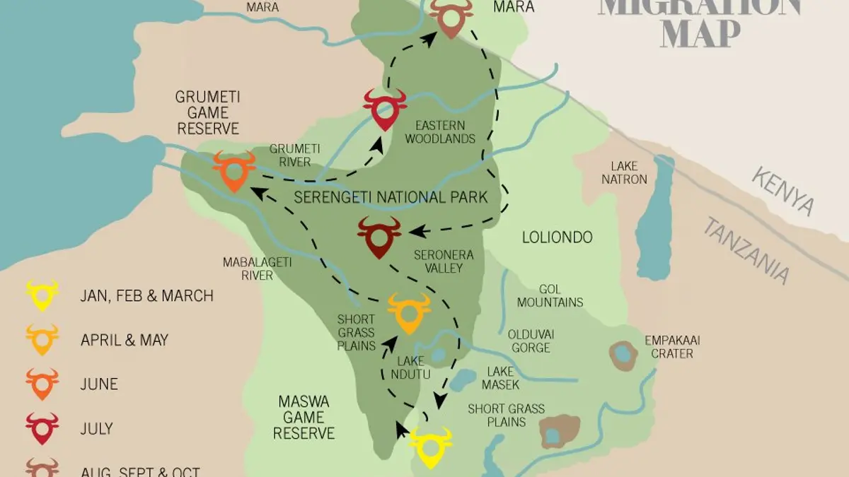 Why Is Serengeti Safari Migration Famous