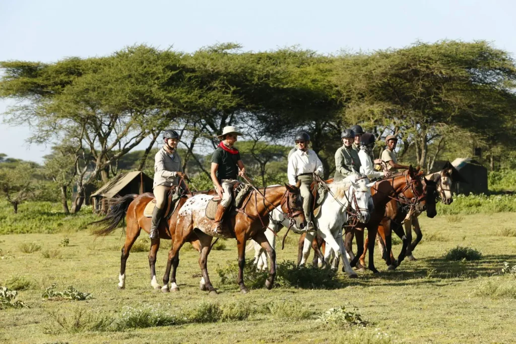 Serengeti Luxury Horse Riding Safari experience 2025 - East Africa Safari Guides