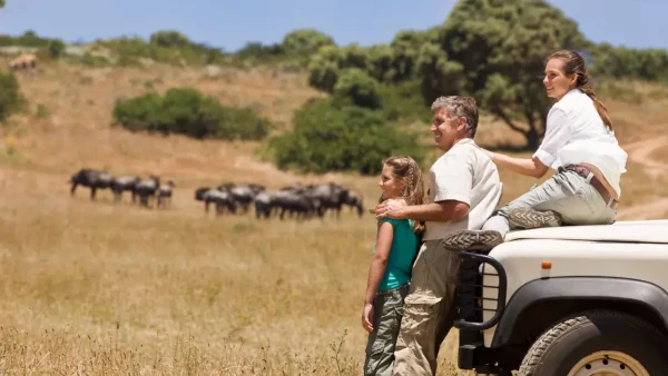 10 Day Family Serengeti Tour 2025