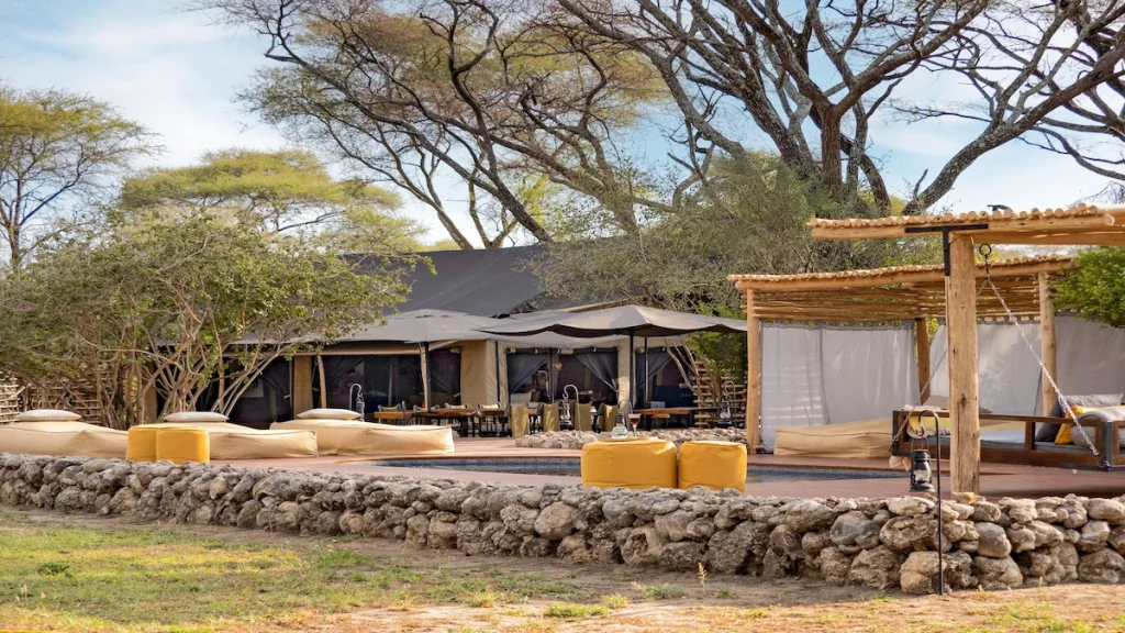 Tanzania Luxury Safari 2025.