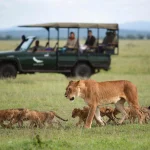 serengeti tours 2025 or 2026