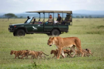 serengeti tours 2025 or 2026