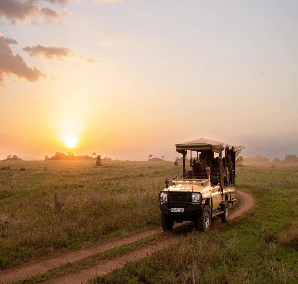 Luxury Tanzania Safari Tour 2025