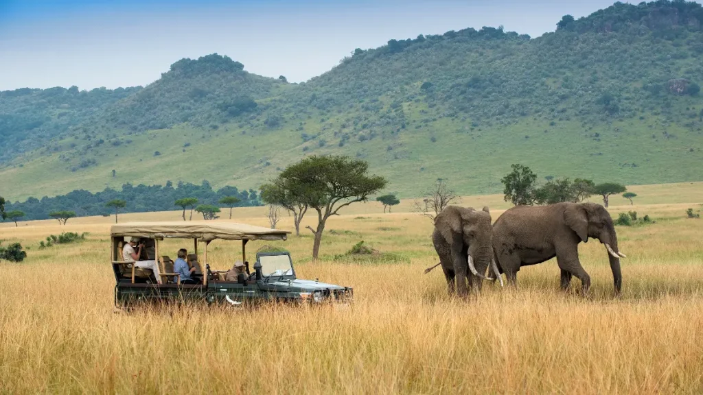 Is August the Best Time for a Tanzania Safari? Expert Insights