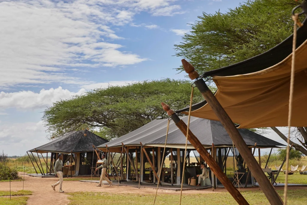 Mila Tented Camp - Serengeti walking safari