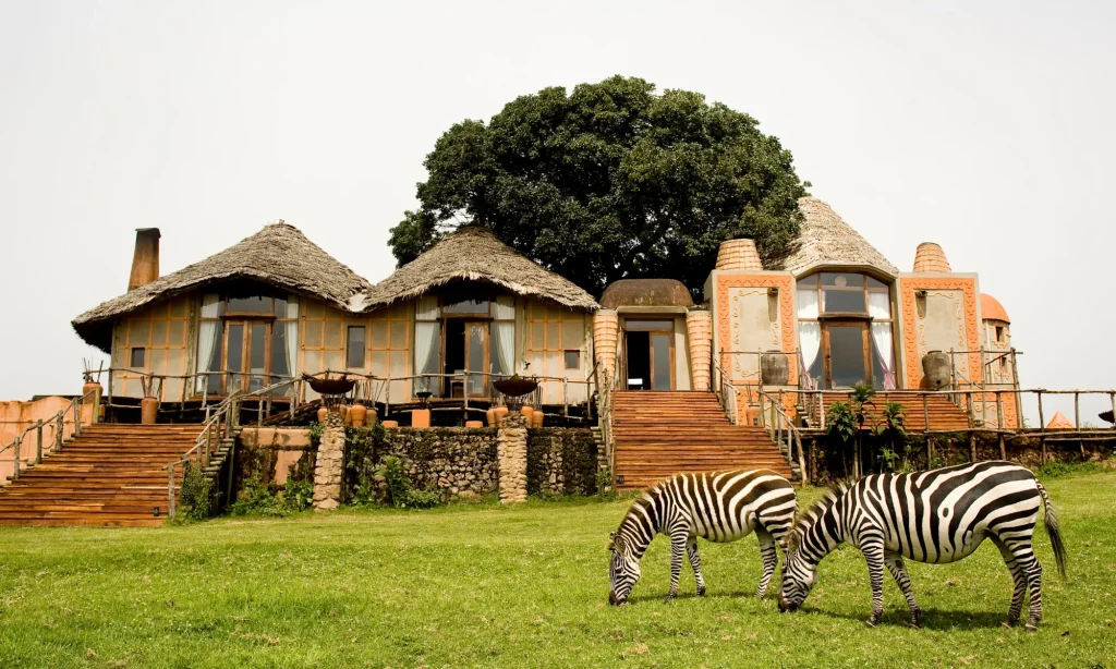 African Luxury Safari trip 2025