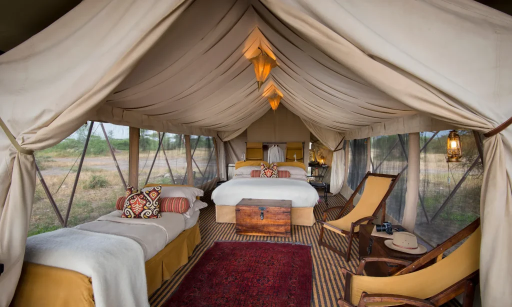 Family Luxury Safari in Serengeti 2025 August