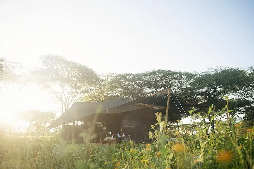 camping in the heart of Serengeti for walking safari