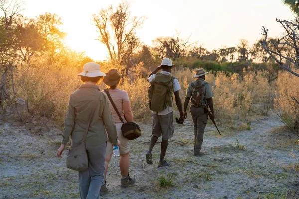 trekking safari in Serengeti