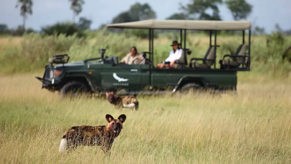 High-end Tanzania Honeymoon Safari 2025