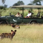 High-end Tanzania Honeymoon Safari 2025