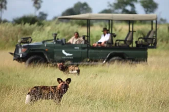 High-end Tanzania Honeymoon Safari 2025