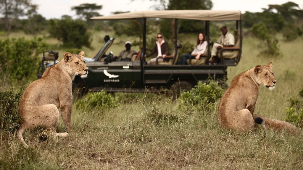 Tanzania Wildlife Experience game drive with lions