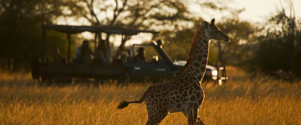 Amboseli National Park