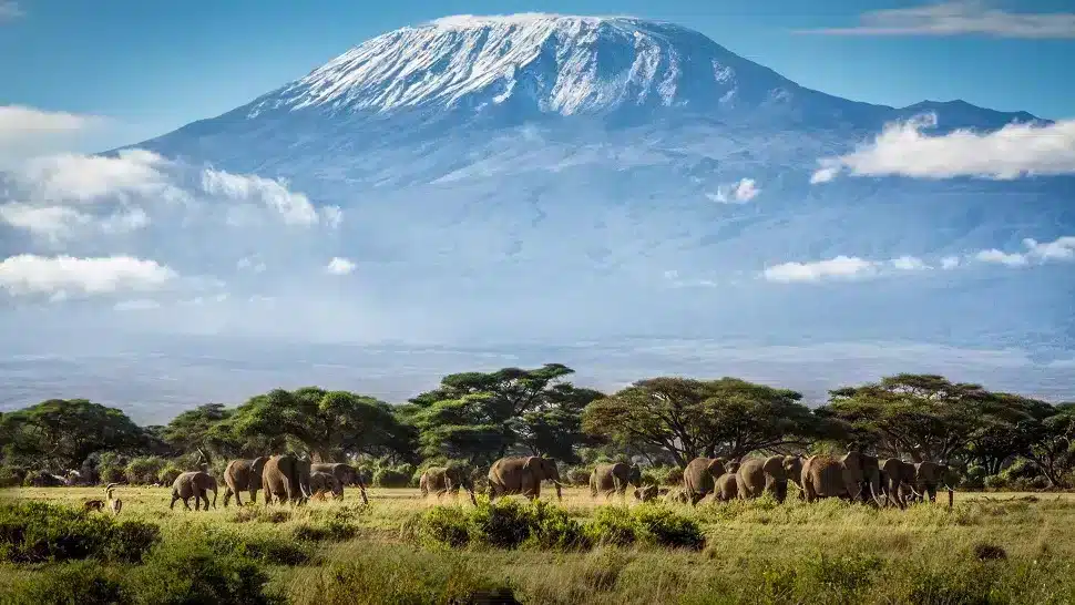 Amboseli National Park