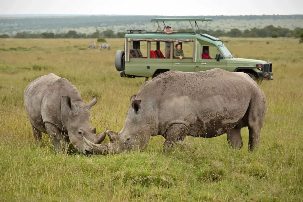 Ol Pejeta Conservancy - Kenya Safaris