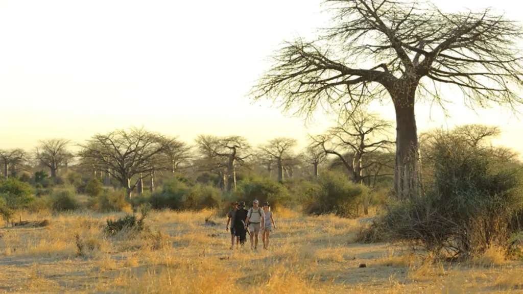 Explore Southern Tanzania on a Family Safari in 2025